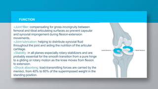 FUNCTION
»Joint filler: compensating for gross incongruity between
femoral and tibial articulating surfaces.so prevent capsular
and synovial impingement during flexion-extension
movements.
»Joint lubrication: helping to distribute synovial fluid
throughout the joint and aiding the nutrition of the articular
cartilage.
»Stability: in all planes especially rotary stabilizers and are
probably essential for the smooth transition from a pure hinge
to a gliding or rotary motion as the knee moves from flexion
to extension.
»Shock absorbing: load-transmitting forces are carried by the
menisci, from 40% to 60% of the superimposed weight in the
standing position.
 