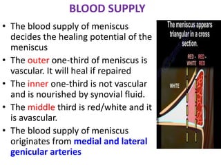 BLOOD SUPPLY
• The blood supply of meniscus
decides the healing potential of the
meniscus
• The outer one-third of meniscus is
vascular. It will heal if repaired
• The inner one-third is not vascular
and is nourished by synovial fluid.
• The middle third is red/white and it
is avascular.
• The blood supply of meniscus
originates from medial and lateral
genicular arteries
 