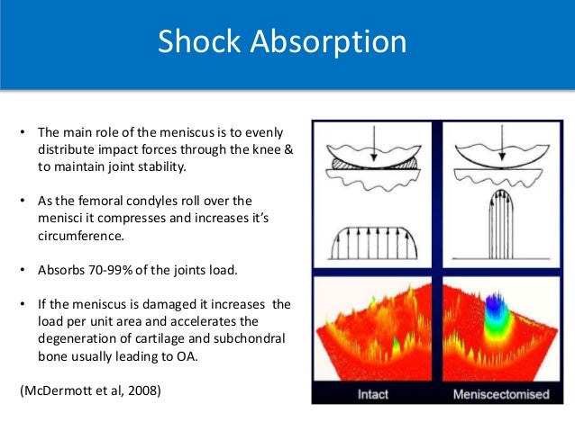 absorber meaning shock a Injury. Role Structure, & Meniscus: absorber meaning shock a Injury. Role Structure, & Meniscus: