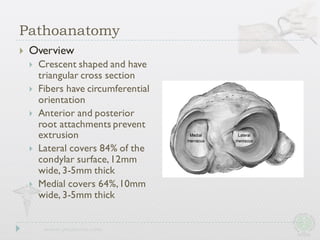 Pathoanatomy
} Overview
} Crescent shaped and have
triangular cross section
} Fibers have circumferential
orientation
} Anterior and posterior
root attachments prevent
extrusion
} Lateral covers 84% of the
condylar surface,12mm
wide, 3-5mm thick
} Medial covers 64%,10mm
wide, 3-5mm thick
 