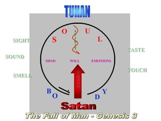 S
O U
L
B
O D
Y
MIND EMOTIONSWILL
SIGHT
SOUND
SMELL
TASTE
TOUCH
S
P
I
R
I
T
F
L
E
S
H
 