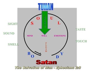 S
O U
L
B
O D
Y
MIND EMOTIONSWILL
SIGHT
SOUND
SMELL
TASTE
TOUCHF
L
E
S
H
E
S
P
Í
R
I
T
U
S
P
I
R
I
T
 