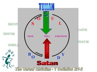 S
O U
L
B
O D
Y
MIND EMOTIONSWILL
SIGNT
SOUND
SMELL
TASTE
TOUCH
E
S
P
Í
R
I
T
U
P
Í
R
T
C
A
R
N
E
F
L
E
S
H
 