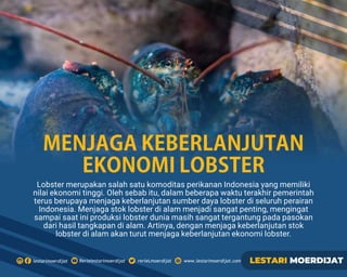 Lobster merupakan salah satu komoditas perikanan Indonesia yang memiliki
nilai ekonomi tinggi. Oleh sebab itu, dalam beberapa waktu terakhir pemerintah
terus berupaya menjaga keberlanjutan sumber daya lobster di seluruh perairan
Indonesia. Menjaga stok lobster di alam menjadi sangat penting, mengingat
sampai saat ini produksi lobster dunia masih sangat tergantung pada pasokan
dari hasil tangkapan di alam. Artinya, dengan menjaga keberlanjutan stok
lobster di alam akan turut menjaga keberlanjutan ekonomi lobster.
MENJAGAKEBERLANJUTAN
EKONOMILOBSTER
 