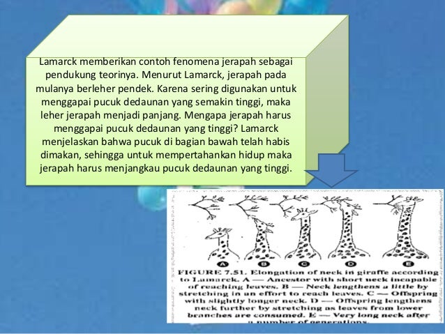 Menjelaskan teori prinsip mekanisme evolusi biologi