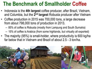 The Benchmark of Smallholder Coffee
• Indonesia is the 4th largest coffee producer, after Brazil, Vietnam,
and Columbia, b...