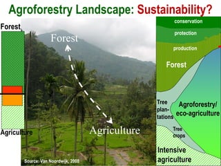 Roles of Commodities in Poverty Alleviation and Strengthening Landscape Management: Towards Sustainable Advantage