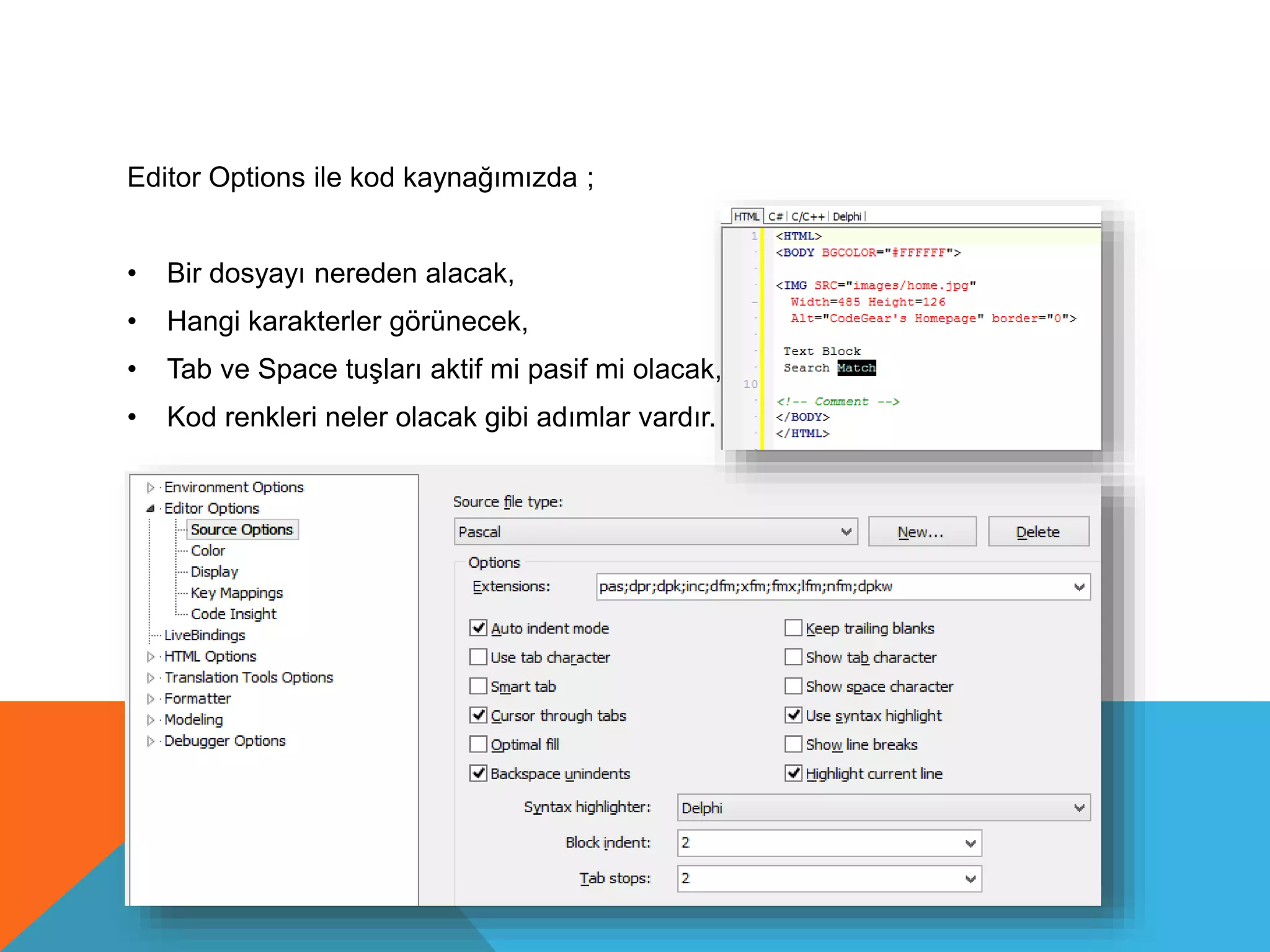 Editor Options ile kod kaynağımızda ;
• Bir dosyayı nereden alacak,
• Hangi karakterler görünecek,
• Tab ve Space tuşları aktif mi pasif mi olacak,
• Kod renkleri neler olacak gibi adımlar vardır.
 