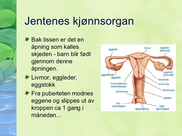 kjønnsorgan blod under samleie kjønnsorgan blod under samleie
