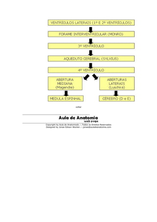 voltar 
Copyright by Aula de Anatomia®.::.Todos os Direitos Reservados 
Designed by Jonas Edison Wecker.::.jonas@auladeanatomia.com 
