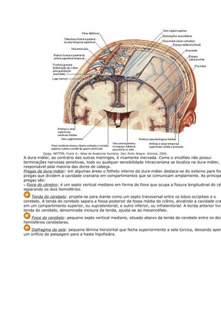 Fonte: NETTER, Frank H.. Atlas de Anatomia Humana. 2ed. Porto Alegre: Artmed, 2000. 
A dura-máter, ao contrário das outras meninges, é ricamente inervada. Como o encéfalo não possui 
terminações nervosas sensitivas, toda ou qualquer sensibilidade intracraniana se localiza na dura-máter, que responsável pela maioria das dores de cabeça. 
Pregas da dura-máter: em algumas áreas o folheto interno da dura-máter destaca-se do externo para formar 
pregas que dividem a cavidade craniana em compartimentos que se comunicam amplamente. As principais 
pregas são: 
Foice do cérebro: é um septo vertical mediano em forma de foice que ocupa a fissura longitudinal do cérebro, 
separando os dois hemisférios. 
Tenda do cerebelo: projeta-se para diante como um septo transversal entre os lobos occipitais e o 
cerebelo. A tenda do cerebelo separa a fossa posterior da fossa média do crânio, dividindo a cavidade craniana 
em um compartimento superior, ou supratentorial, e outro inferior, ou infratentorial. A borda anterior livre tenda do cerebelo, denominada incisura da tenda, ajusta-se ao mesencéfalo. 
Foice do cerebelo: pequeno septo vertical mediano, situado abaixo da tenda do cerebelo entre os dois 
hemisférios cerebelares. 
Diafragma da sela: pequena lâmina horizontal que fecha superiormente a sela túrcica, deixando apenas 
um orifício de passagem para a haste hipofisiára. 
 