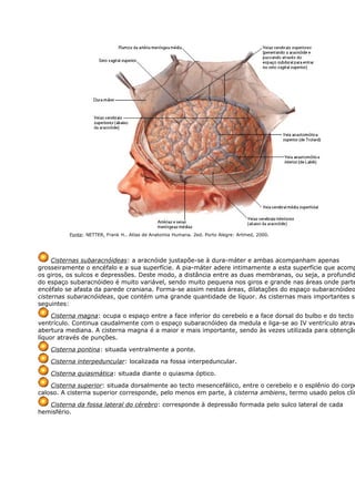 Fonte: NETTER, Frank H.. Atlas de Anatomia Humana. 2ed. Porto Alegre: Artmed, 2000. 
Cisternas subaracnóideas: a aracnóide justapõe-se à dura-máter e ambas acompanham apenas 
grosseiramente o encéfalo e a sua superfície. A pia-máter adere intimamente a esta superfície que acompanha 
os giros, os sulcos e depressões. Deste modo, a distância entre as duas membranas, ou seja, a profundidade 
do espaço subaracnóideo é muito variável, sendo muito pequena nos giros e grande nas áreas onde parte encéfalo se afasta da parede craniana. Forma-se assim nestas áreas, dilatações do espaço subaracnóideo, cisternas subaracnóideas, que contém uma grande quantidade de líquor. As cisternas mais importantes são seguintes: 
Cisterna magna: ocupa o espaço entre a face inferior do cerebelo e a face dorsal do bulbo e do tecto ventrículo. Continua caudalmente com o espaço subaracnóideo da medula e liga-se ao IV ventrículo através abertura mediana. A cisterna magna é a maior e mais importante, sendo às vezes utilizada para obtenção líquor através de punções. 
Cisterna pontina: situada ventralmente a ponte. 
Cisterna interpeduncular: localizada na fossa interpeduncular. 
Cisterna quiasmática: situada diante o quiasma óptico. 
Cisterna superior: situada dorsalmente ao tecto mesencefálico, entre o cerebelo e o esplênio do corpo 
caloso. A cisterna superior corresponde, pelo menos em parte, à cisterna ambiens, termo usado pelos clínicos. 
Cisterna da fossa lateral do cérebro: corresponde à depressão formada pelo sulco lateral de cada 
hemisfério. 
Cisternas e a Circulação do Líquor 
 