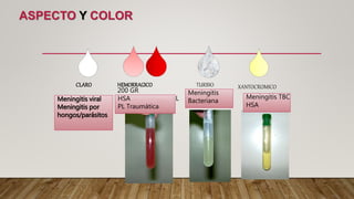 ASPECTO Y COLOR
CLARO HEMORRAGICO
200 GR
1-2 GB/1000GR PL
traumática
TURBIO XANTOCROMICO
Meningitis viral
Meningitis por
hongos/parásitos
HSA
PL Traumática
Meningitis
Bacteriana
Meningitis TBC
HSA
 