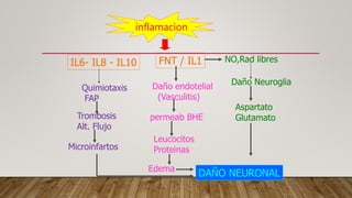 inflamacion
FNT / IL1IL6- IL8 - IL10
Quimiotaxis
FAP
NO,Rad libres
Daño endotelial
(Vasculitis)
permeab BHE
Leucocitos
Proteinas
Edema
Daño Neuroglia
Aspartato
GlutamatoTrombosis
Alt. Flujo
Microinfartos
DAÑO NEURONAL
 