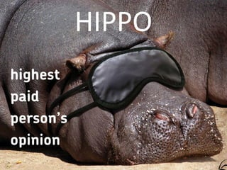 HIPPO
 