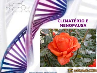 CLIMATÉRIO E
                                              MENOPAUSA




©2006 VAN DER HAAGEN – ALL RIGHTS RESERVED
 