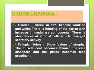ORGAN CHANGES:-
 - Ovaries:- Shrink in size, become wrinkled
and white. There is thinning of the cortex with
increase in medullary components. There is
abundances of stromal cells which have got
secretory activity.
 - Fallopian tubes:- Show feature of atrophy.
The muscle coat becomes thinner, the cilia
disappear and the plicae becomes less
prominent.
 