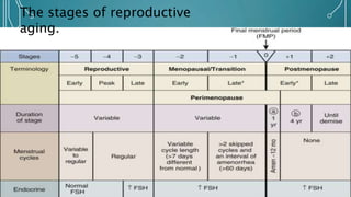 The stages of reproductive
aging.
 