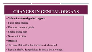 Vulva & external genital organs:
Fat in labia majora
Decrease in mons pubis
Sparse pubic hair
Narrow introitus
Breast :
 Become flat in thin built women & shriveled
Remain flabby & pendulous in heavy built women.
CHANGES IN GENITAL ORGANS
 