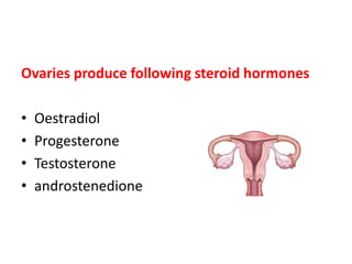 Ovaries produce following steroid hormones
• Oestradiol
• Progesterone
• Testosterone
• androstenedione
 