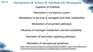 Mechanism Of Action Of Anethole On Menopause
Ingestion of Anethole
Absorption in the digestive system
Metabolism in the liver to estragole and other metabolites
Modulation of enzymatic pathways
Influence on estrogen metabolism and bio-availability
Activation of secondary signaling pathways
Alleviation of menopausal symptoms
Slide:11
https://www.ncbi.nlm.nih.gov/pmc/articles/PMC4232798/#:~:text=The%20flavonoid
%20anethole%20has%20been,or%20little%20toxic%20side%20effect
 