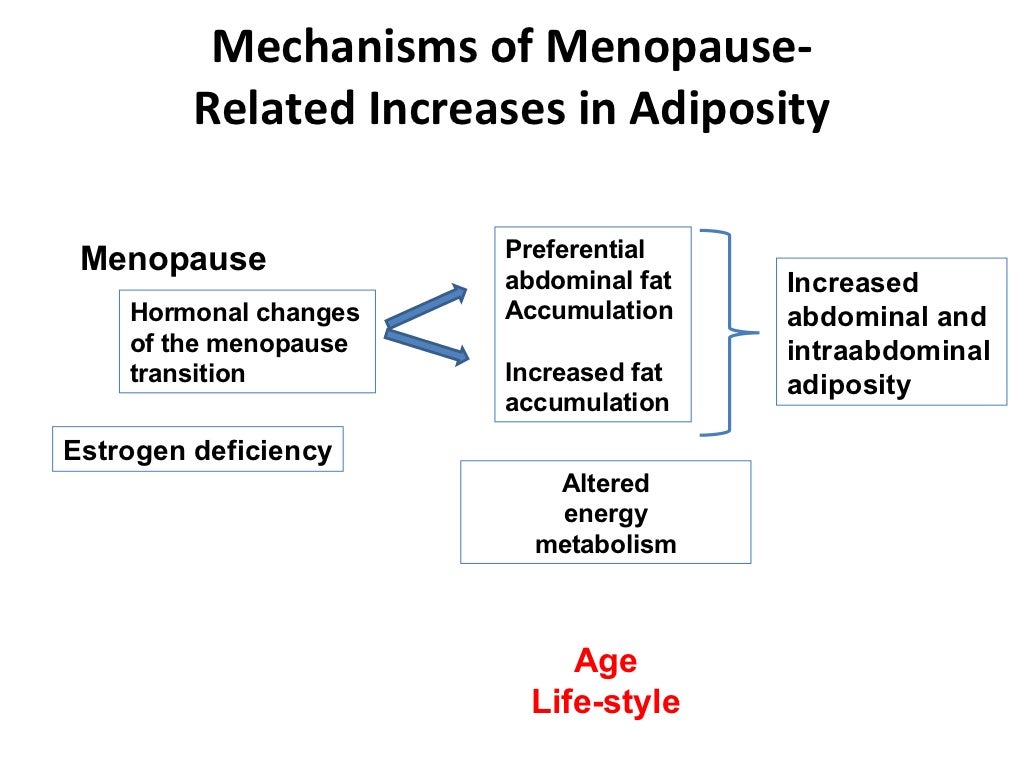 Menopause and obesity