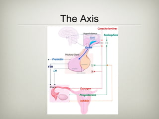 The Axis

 