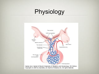 Physiology

 