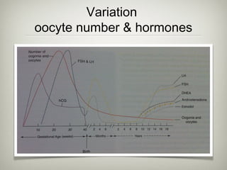 Variation
oocyte number & hormones

 