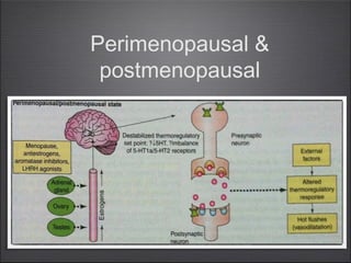 Perimenopausal &
postmenopausal

 