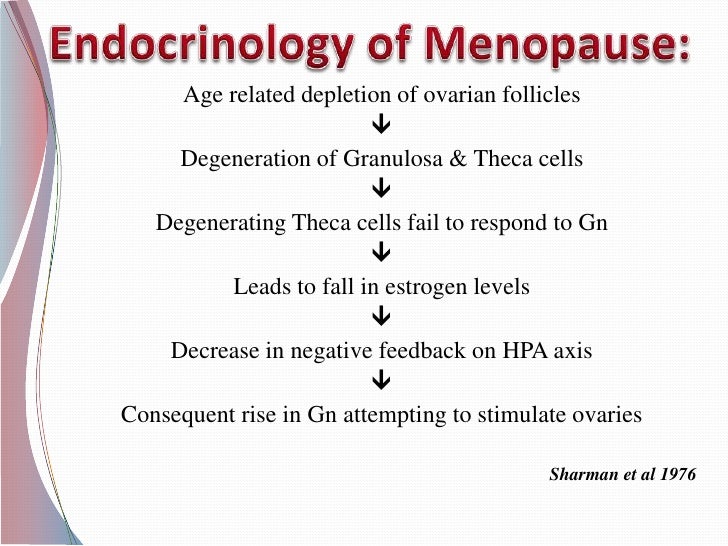 Understanding Menopause