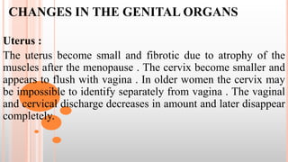 CHANGES IN THE GENITAL ORGANS
Uterus :
The uterus become small and fibrotic due to atrophy of the
muscles after the menopause . The cervix become smaller and
appears to flush with vagina . In older women the cervix may
be impossible to identify separately from vagina . The vaginal
and cervical discharge decreases in amount and later disappear
completely.
 
