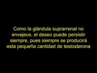 Como la glándula suprarrenal no
  envejece, el deseo puede persistir
 siempre, pues siempre se producirá
esta pequeña cantidad de testosterona
 