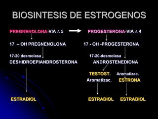 BIOSINTESIS DE ESTROGENOS
PREGNENOLONA-VIA ∆ 5 PROGESTERONA-VIA ∆ 4
17 – OH PREGNENOLONA 17 - OH -PROGESTERONA
17-20 desmolasa 17-20-desmolasa
DESHIDROEPIANDROSTERONA ANDROSTENEDIONA
TESTOST. Aromatizac.
Aromatizac. ESTRONA
ESTRADIOL ESTRADIOL ESTRADIOL
 