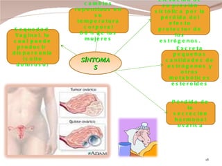 SÍNTOMAS Elevación de su presión sistólica por la pérdida del efecto protector de los estrógenos. Excreta pequeñas cantidades de estrógenos y otros metabólicos esteroides Pérdida de la secreción hormonal ovárica cambios repentinos en su temperatura corporal 80% de las mujeres Sequedad  Vaginal, lo cual puede producir  dispareunia (coito doloroso) 