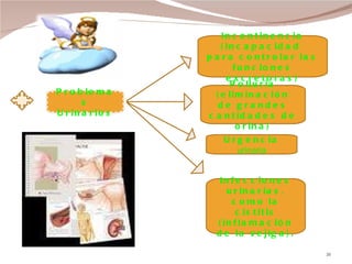 Problemas Urinarios Incontinencia (Incapacidad  para controlar las funciones excretoras) Urgencia  urinaria Poliuria (eliminación de grandes cantidades de orina) Infecciones urinarias, como la cistitis (inflamación de la vejiga). 