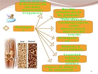 Patologías Alteraciones en la menstruación (periodos menstruales irregulares) Cáncer de mama y de endometrio Diabetes y  estreñimiento Enfermedades Cardiovasculares, como: Aterosclerosis  Hipertensión arterial Osteoporosis Mastitis (inflamación de las glándulas mamarias) Sequedad vaginal y vaginitis atrófica 