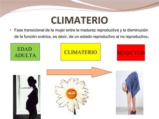 CLIMATERIO Fase transicional de la mujer entre la madurez reproductiva y la disminución de la función ovárica, es decir, de un estado reproductivo al no reproductivo . EDAD  ADULTA CLIMATERIO SENECTUD 