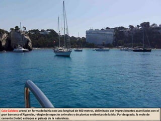 Cala Galdana arenal en forma de bahía con una longitud de 460 metros, delimitado por impresionantes acantilados con el
gran barranco d'Algendar, refugio de especies animales y de plantas endémicas de la isla. Por desgracia, la mole de
cemento (hotel) estropea el paisaje de la naturaleza.
 