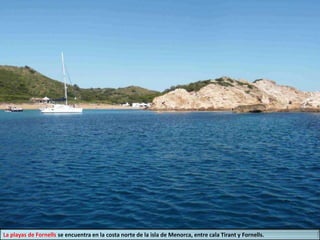 La playas de Fornells se encuentra en la costa norte de la isla de Menorca, entre cala Tirant y Fornells.
 