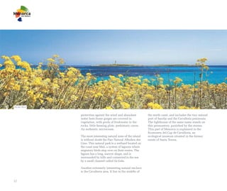 Illa de l’Aire


                 protection against the wind and abundant           the north coast, and includes the tiny natural
                 water here.Some gorges are covered in              port of Sanitja and the Cavalleria peninsula.
                 vegetation, with pools of freshwater in the        The lighthouse of the same name stands on
                 rocks, little farming plots, prehistoric caves.    this promontory, punished by the storms.
                 An authentic microcosm.                            This part of Menorca is explained in the
                                                                    Ecomuseu del Cap de Cavalleria, an
                 The most interesting natural zone of the island    ecological museum situated in the former
                 is without doubt the Parc Natural Albufera des     estate of Santa Teresa.
                 Grau. This natural park is a wetland located on
                 the coast near Maó, a system of lagoons where
                 migratory birds stop over on their routes. The
                 lagoon has a long, narrow shape, and is
                 surrounded by hills and connected to the sea
                 by a small channel called Sa Gola.

                 Another extremely interesting natural enclave
                 is the Cavalleria area. It lies in the middle of


12
 