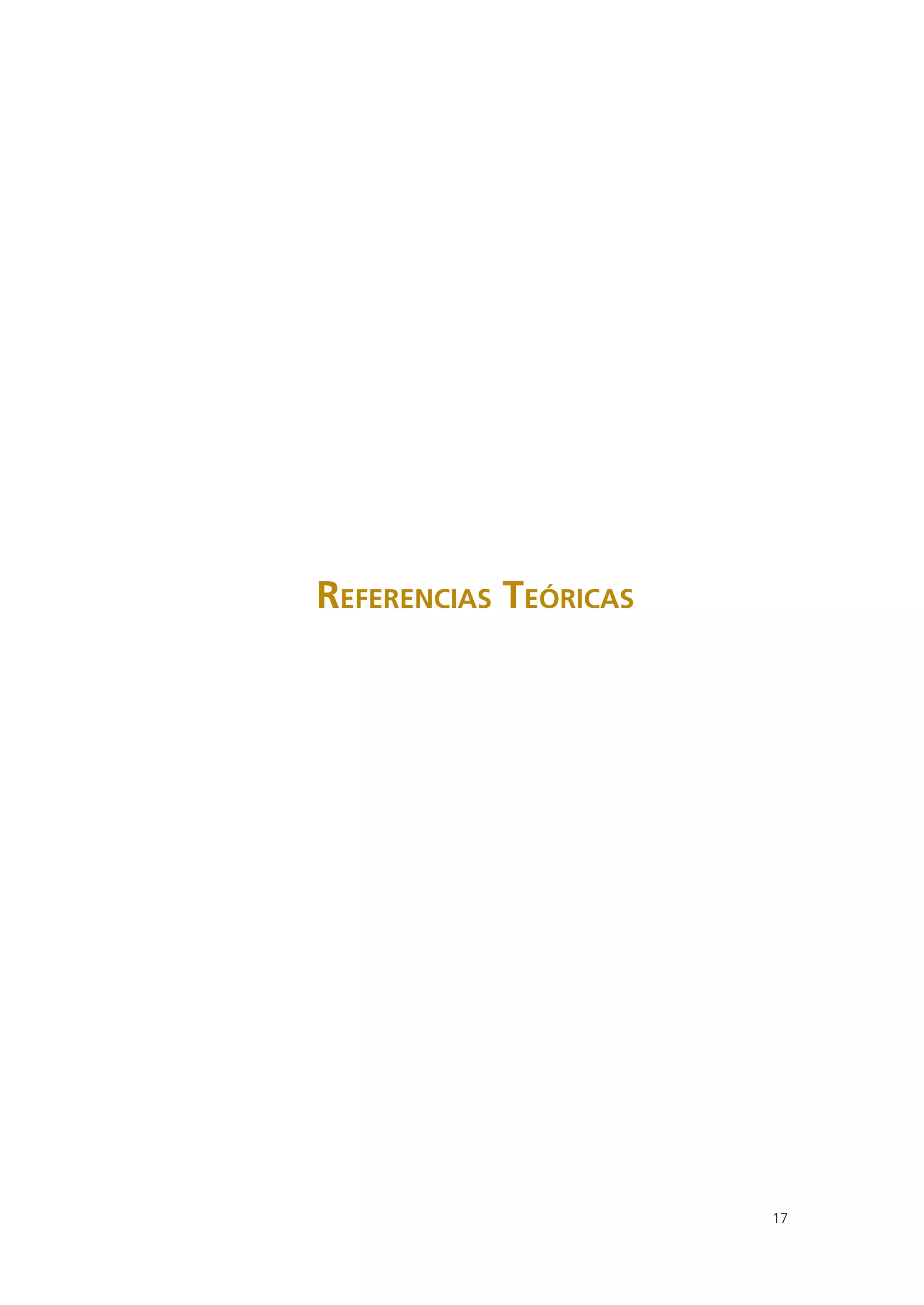 REFERENCIAS TEÓRICAS




                       17
 