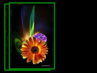 Quem condena atira uma pedra que voltará sempre ao ponto de origem. 