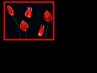 Nunca se viu egoísmo que não se queixe de ingratidão 