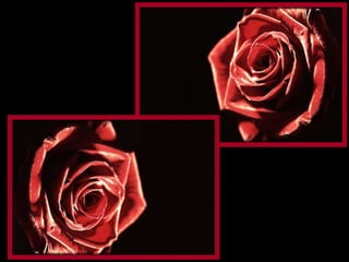 A herança da liberdade pertence ao dever cumprido.   Obrigação cumprida será sempre o nosso mais valioso seguro de proteção. 