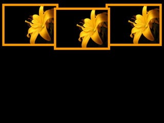 Reclamar é ferir-se. A alma corajosa não é aquela que se dispõe a revidar o golpe recebido e sim aquela que sabe desculpar e esquecer . 