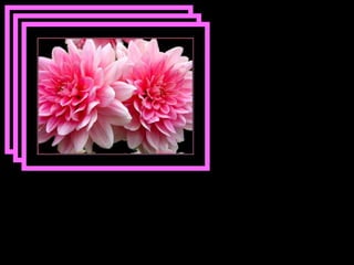 Quem aprende a ouvir com atenção aprende a falar com proveito. 