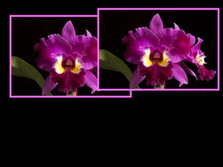 Aproveita o tempo construindo o bem, a fim de que o tempo te aproveite, de modo a fazer o melhor de ti. 