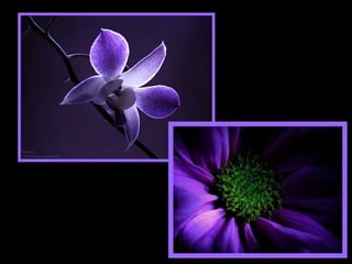 Cada pessoa renasce na soma do que já fez . A melhora de tudo para todos começa na melhora de cada um. 