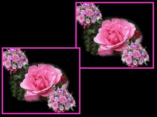 Ama sempre, fazendo pelos outros o melhor que possas realizar. Age auxiliando. Serve sem apego. E assim vencerás.“ 